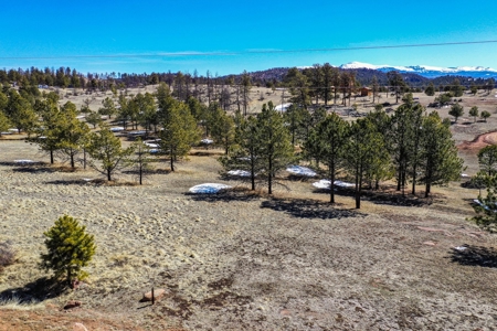 Beautiful Colorado Mountain Property with Amazing Views - image 26