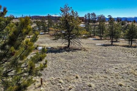 Beautiful Colorado Mountain Property with Amazing Views - image 27