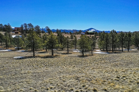 Beautiful Colorado Mountain Property with Amazing Views - image 5