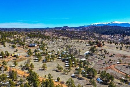 Beautiful Colorado Mountain Property with Amazing Views - image 12