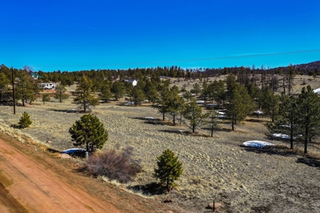 Beautiful Colorado Mountain Property with Amazing Views - image 25