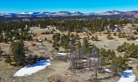 Beautiful Colorado Mountain Property with Amazing Views - image 22