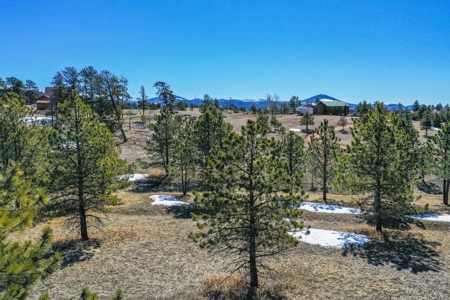 Beautiful Colorado Mountain Property with Amazing Views - image 7