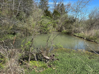3 Bedroom Home with Spring on 22 ± Acres in Salem, MO! - image 39