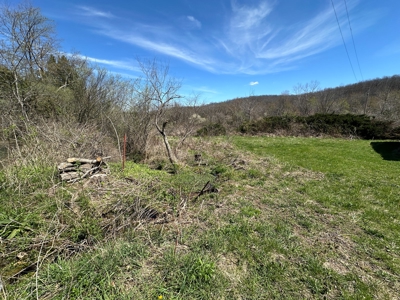 3 Bedroom Home with Spring on 22 ± Acres in Salem, MO! - image 35