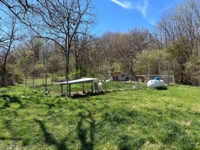 3 Bedroom Home with Spring on 22 ± Acres in Salem, MO! - image 38