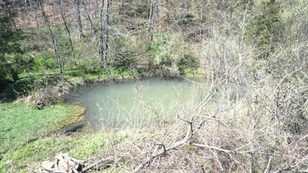 3 Bedroom Home with Spring on 22 ± Acres in Salem, MO! - image 9