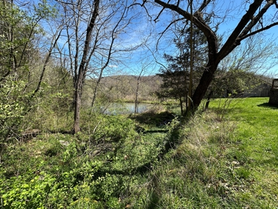 3 Bedroom Home with Spring on 22 ± Acres in Salem, MO! - image 28