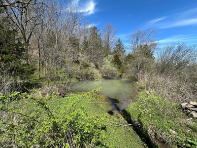 3 Bedroom Home with Spring on 22 ± Acres in Salem, MO! - image 34