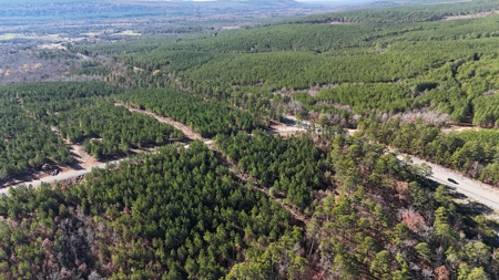 Land For Sale Clayton, OK- Mountain View Property w/Creek - image 11
