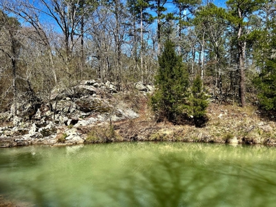 Land For Sale Clayton, OK- Mountain View Property w/Creek - image 21