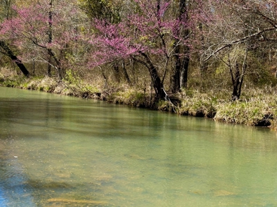 Land For Sale Clayton, OK- Mountain View Property w/Creek - image 19