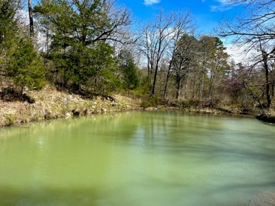 Land For Sale Clayton, OK- Mountain View Property w/Creek - image 22