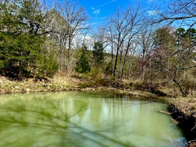 Land For Sale Clayton, OK- Mountain View Property w/Creek - image 23