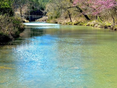 Land For Sale Clayton, OK- Mountain View Property w/Creek - image 18