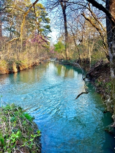 Land For Sale Clayton, OK- Mountain View Property w/Creek - image 14