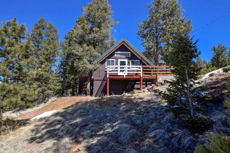 Cozy A-Frame Cabin in the Colorado Mountains - image 4