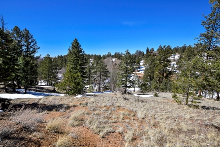 Cozy A-Frame Cabin in the Colorado Mountains - image 3