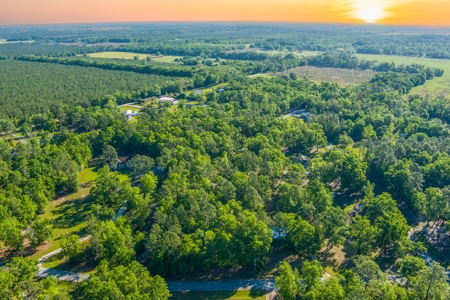 High And Dry North Florida Land For Sale In Lee, Florida - image 2