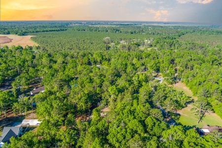 High And Dry North Florida Land For Sale In Lee, Florida - image 7