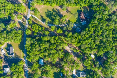 High And Dry North Florida Land For Sale In Lee, Florida - image 10