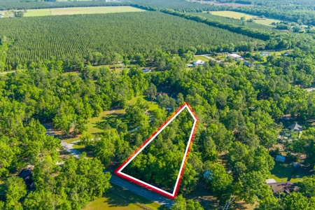 High And Dry North Florida Land For Sale In Lee, Florida - image 1