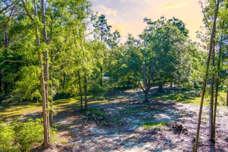 High And Dry North Florida Land For Sale In Lee, Florida - image 8
