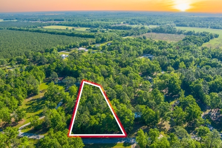 High And Dry North Florida Land For Sale In Lee, Florida - image 11