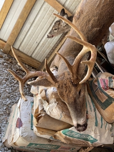 Parke County IN Recreational Paradise with Country Home - image 19