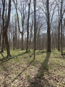 Parke County IN Recreational Paradise with Country Home - image 42