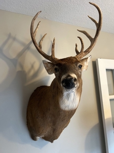 Parke County IN Recreational Paradise with Country Home - image 23