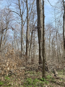 Parke County IN Recreational Paradise with Country Home - image 32