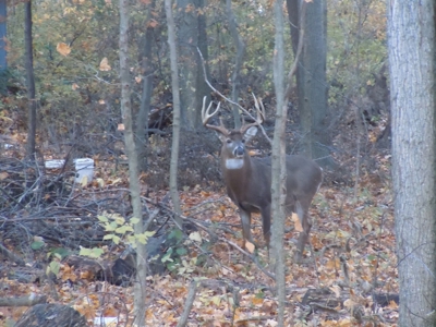 Parke County IN Recreational Paradise with Country Home - image 14