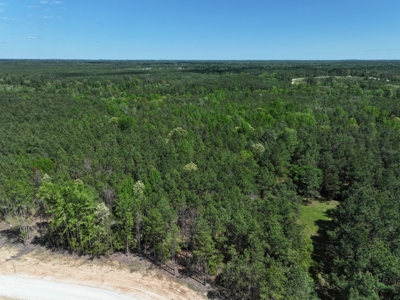 "10 Acres at 475 Cherokee Trail, Lovelady, TX" - image 3