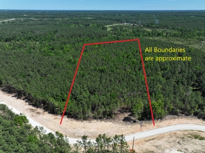 "10 Acres at 475 Cherokee Trail, Lovelady, TX" - image 8