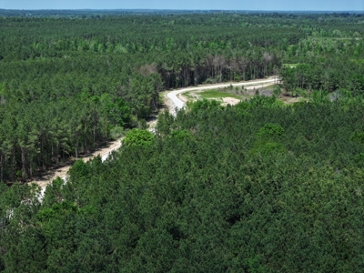 "10 Acres at 475 Cherokee Trail, Lovelady, TX" - image 5