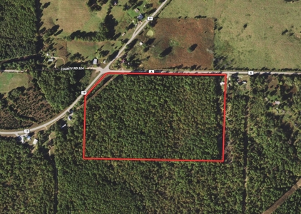 Vacant Land/Hunting Property for Sale Oregon County Missouri - image 13