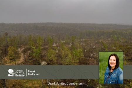 Vacant Land/Hunting Property for Sale Oregon County Missouri - image 1
