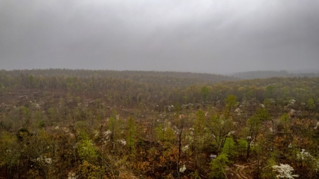 Vacant Land/Hunting Property for Sale Oregon County Missouri - image 10