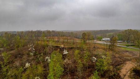 Vacant Land/Hunting Property for Sale Oregon County Missouri - image 7