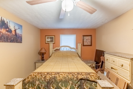 Country Home and Acreage in the Southern Missouri Ozarks - image 14