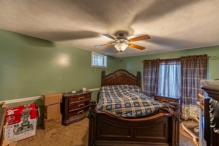 Country Home and Acreage in the Southern Missouri Ozarks - image 16