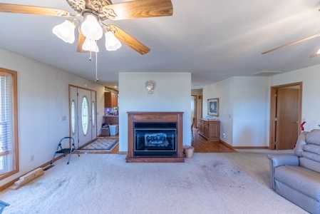Country Home in the Southern Missouri Ozarks - image 12