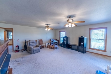 Country Home in the Southern Missouri Ozarks - image 11