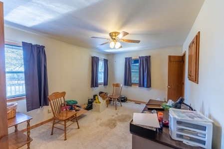 Country Home in the Southern Missouri Ozarks - image 19