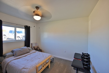 Country Home For Sale in Collbran Colorado - image 13