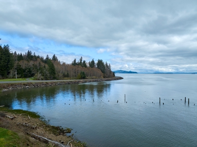 Waterfront Property in Naselle, WA For Sale - image 48