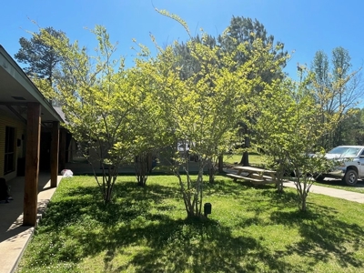 Turnkey Motel and RV Park For Sale - image 32