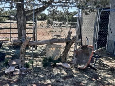 Off  Grid 3bed 2 bath manf. country home on 15 fenced acres - image 34