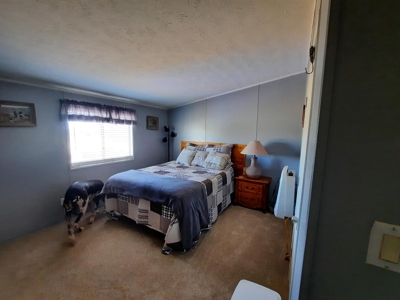 Off  Grid 3bed 2 bath manf. country home on 15 fenced acres - image 21